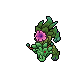 Peony